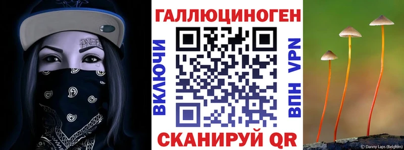 Галлюциногенные грибы ЛСД  Елизаветинская 